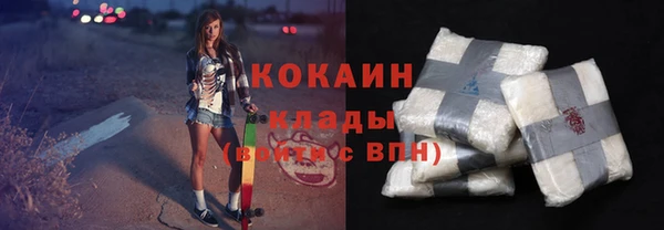 a pvp Бородино